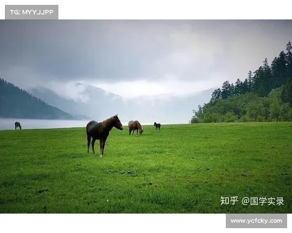 生活中的智慧:如何识别并避开生活中的各种陷阱与误区 生活中的智慧:如何识别并避开生活中的各种陷阱与误区