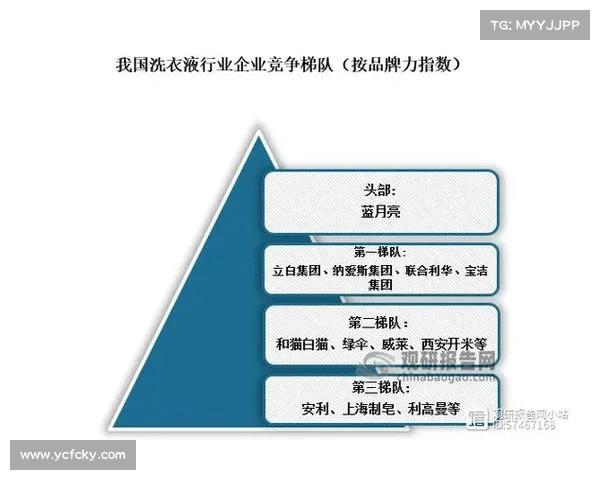 安联与其他品牌赞助商的合作策略及其市场影响力对比分析